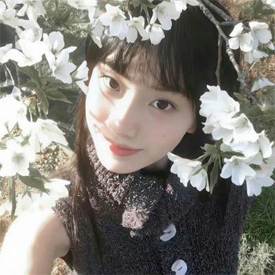 金鸡